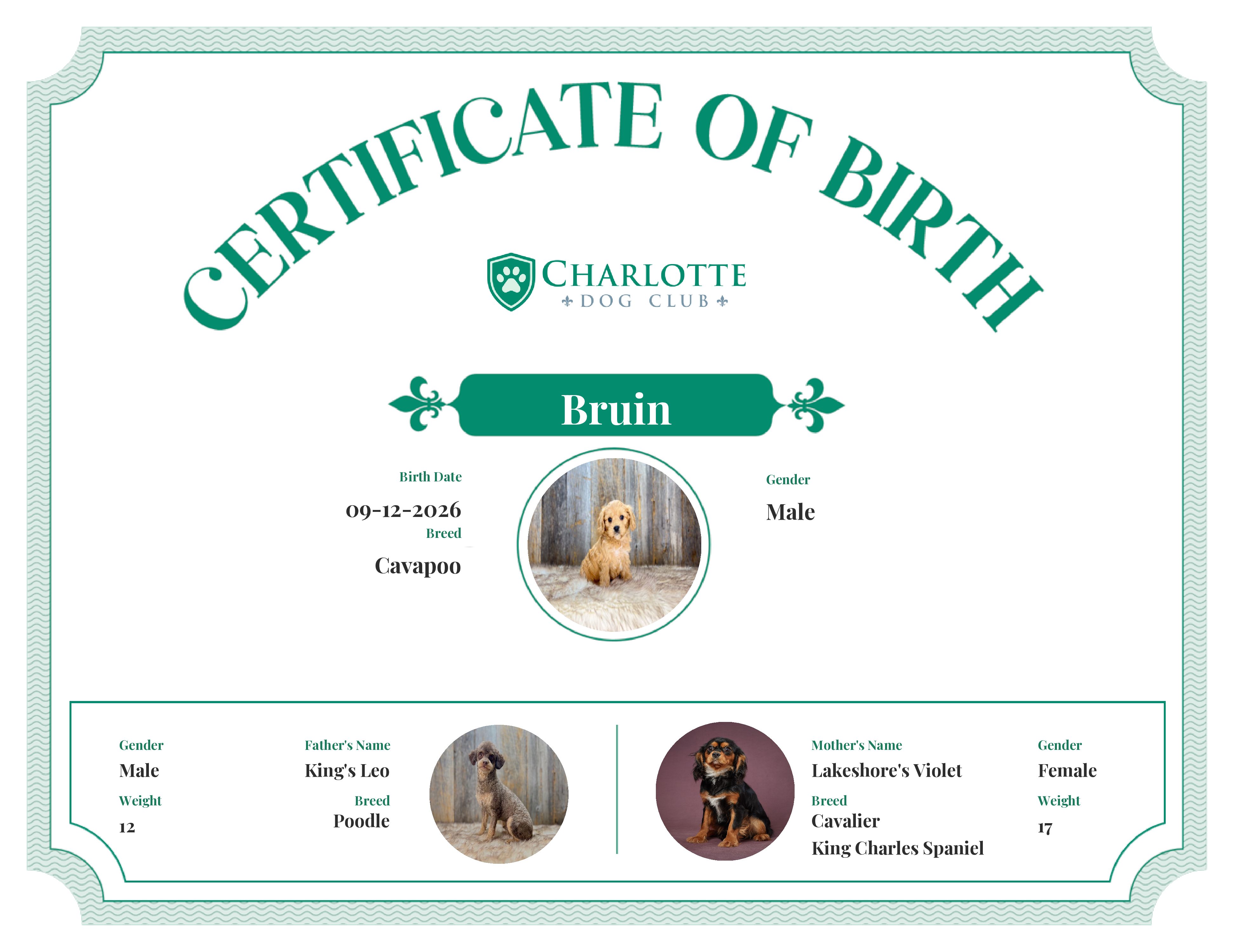Bruin's Birth Certificate