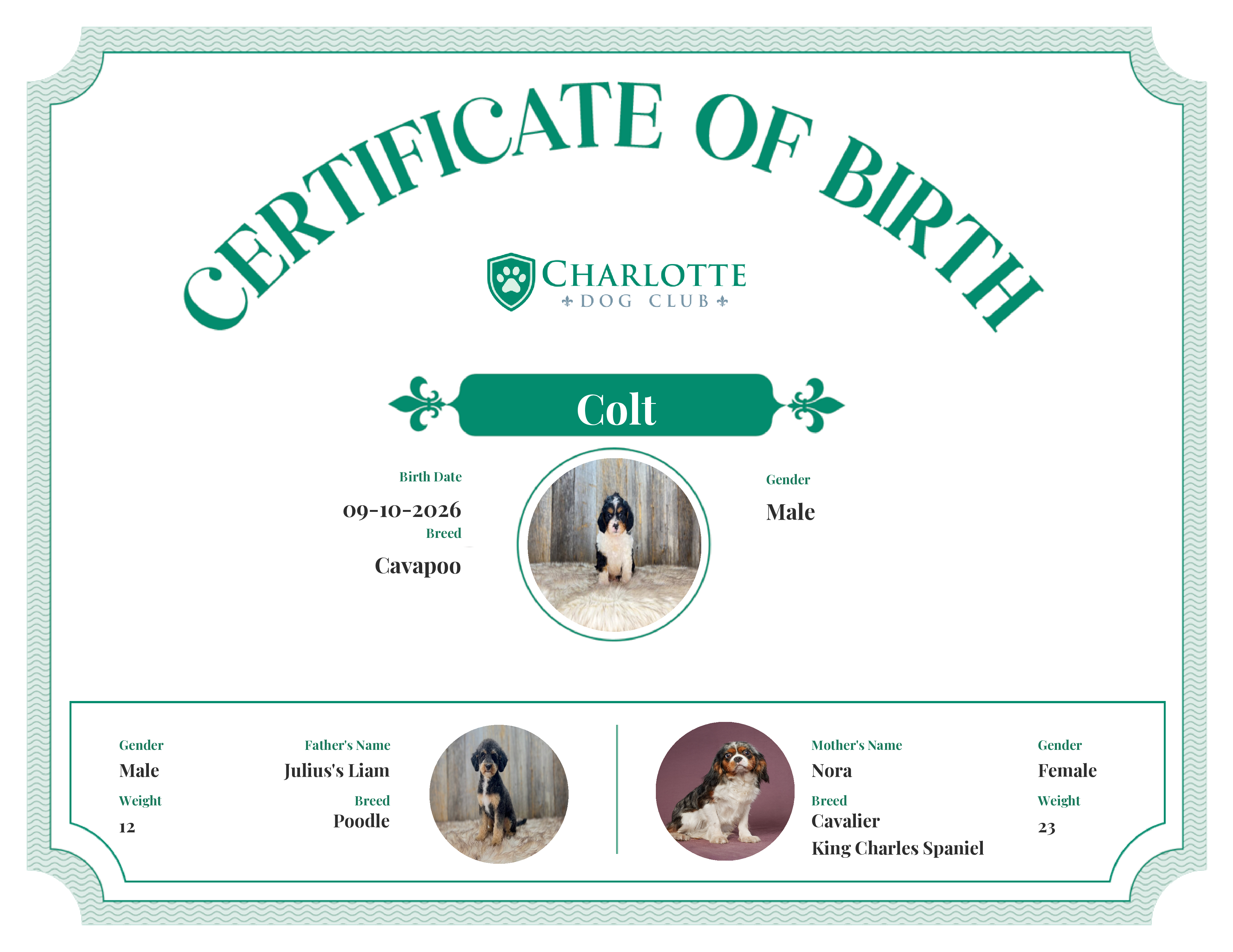 Colt's Birth Certificate