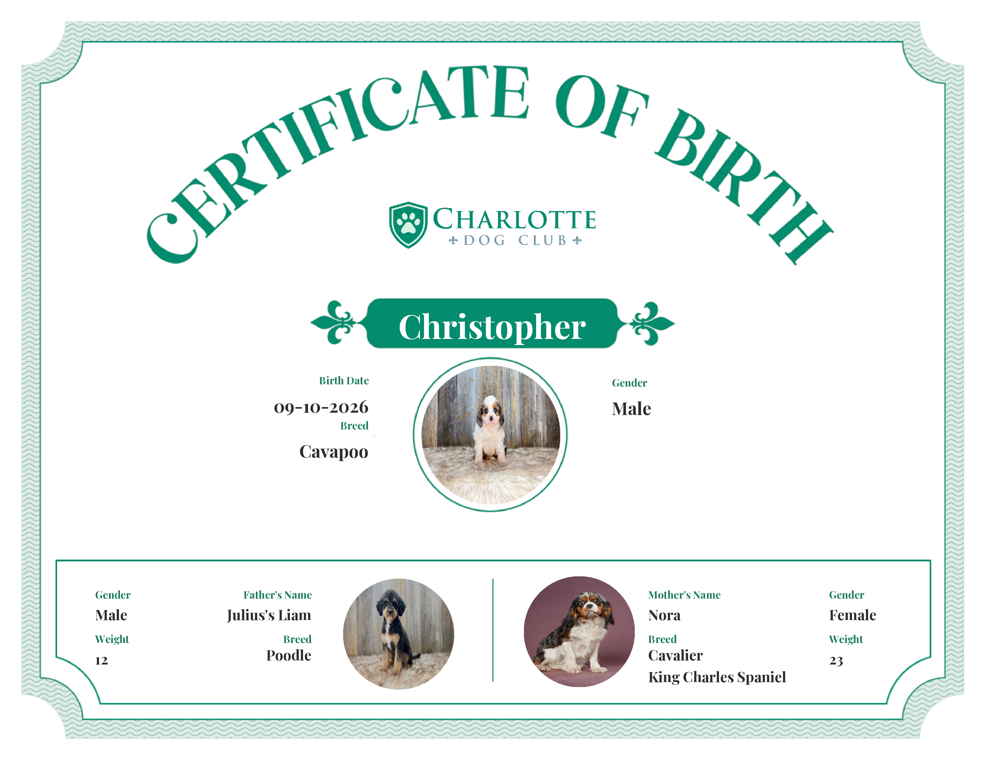 Christopher's Birth Certificate