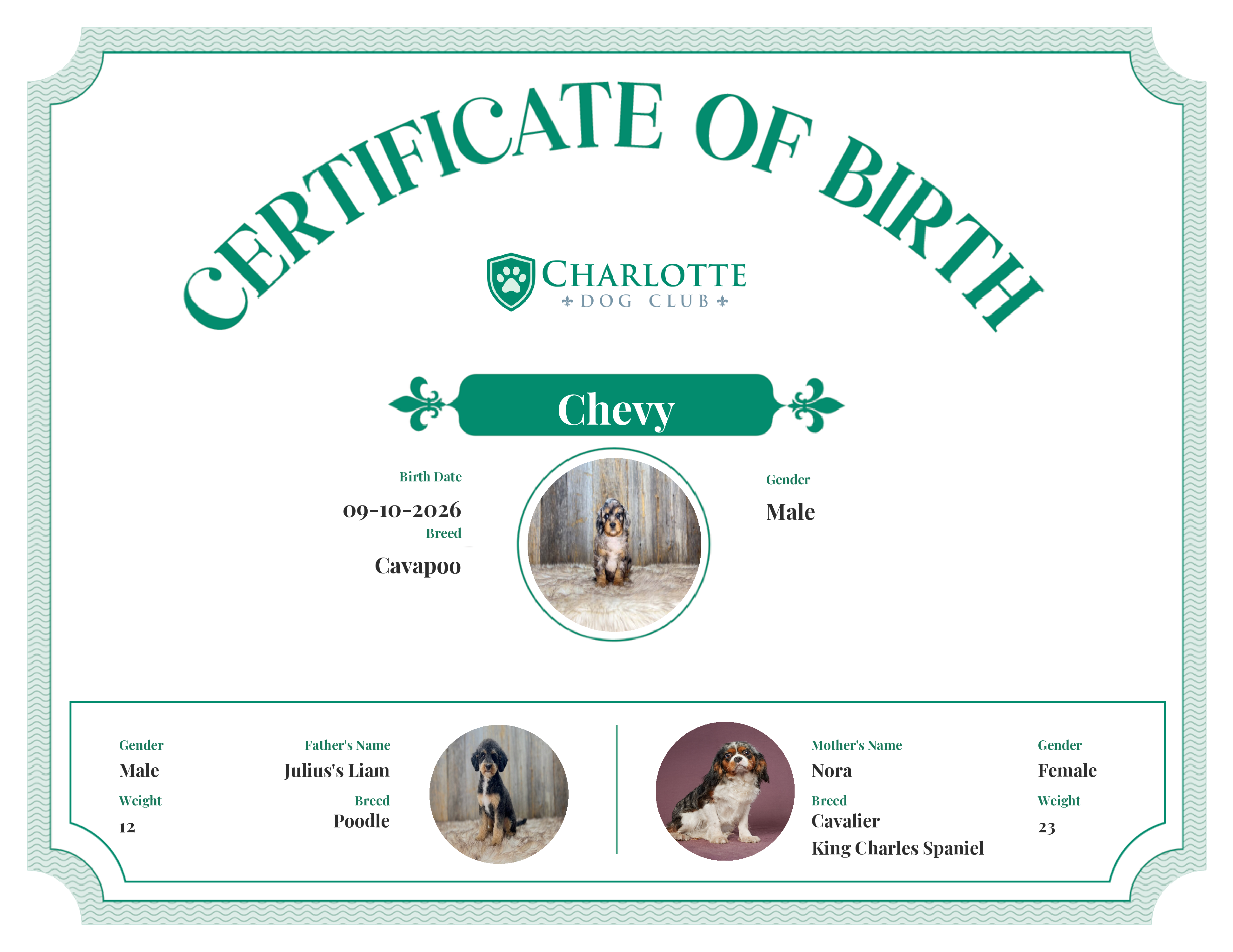 Chevy's Birth Certificate