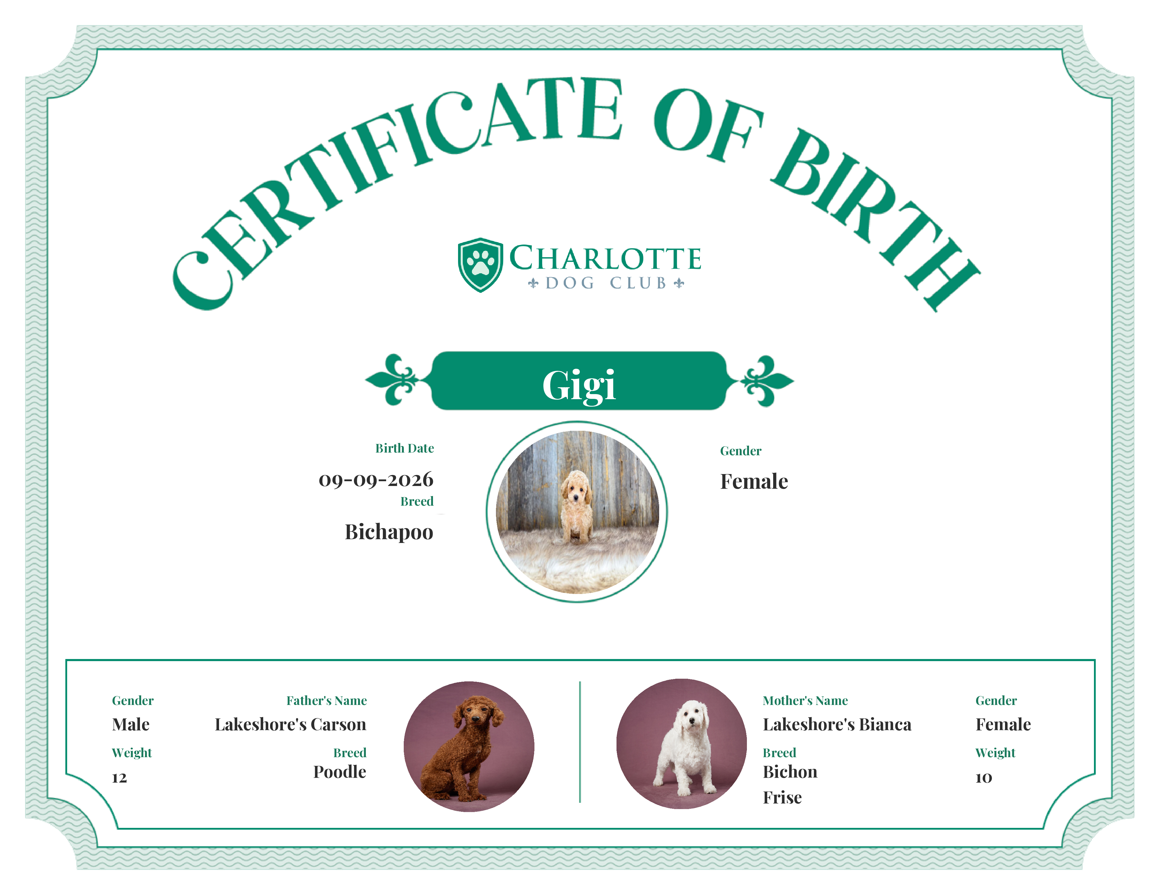Gigi's Birth Certificate
