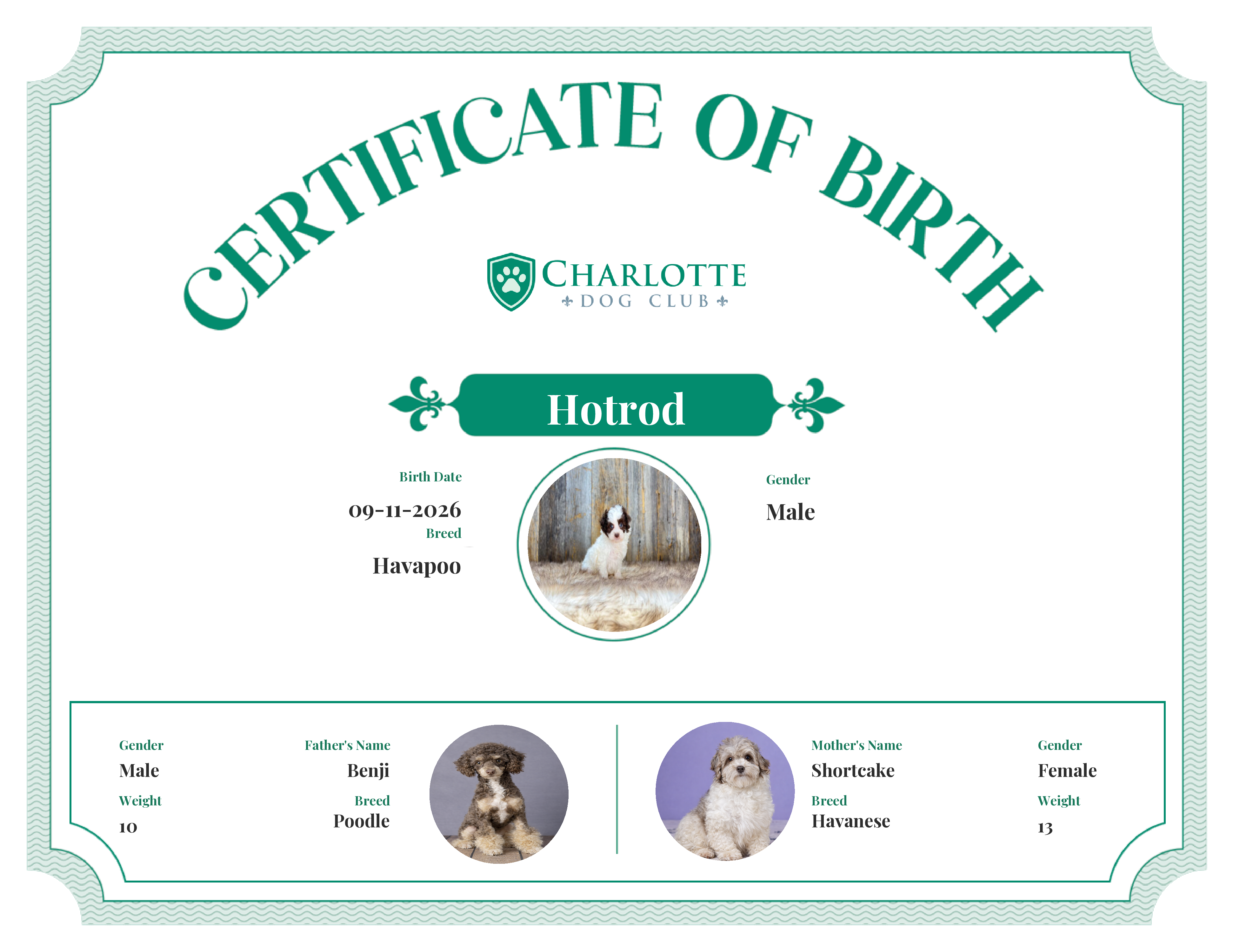 Hotrod's Birth Certificate