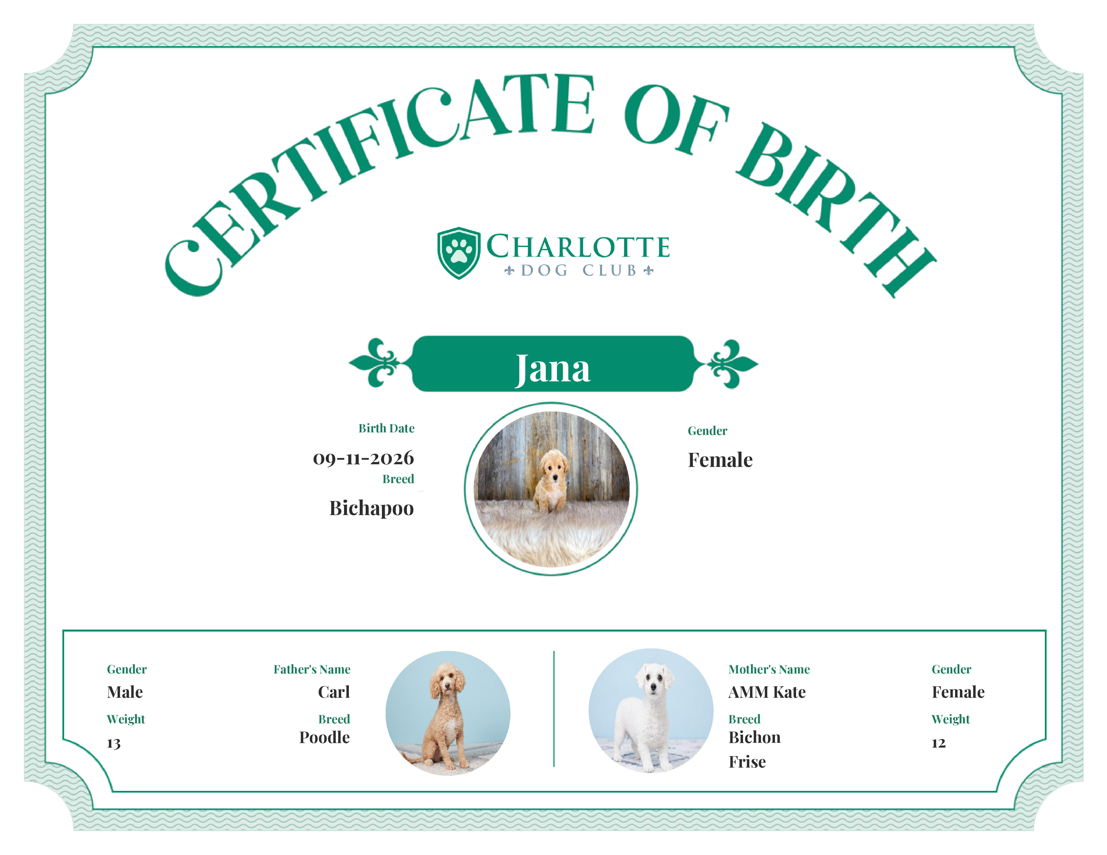 Jana's Birth Certificate