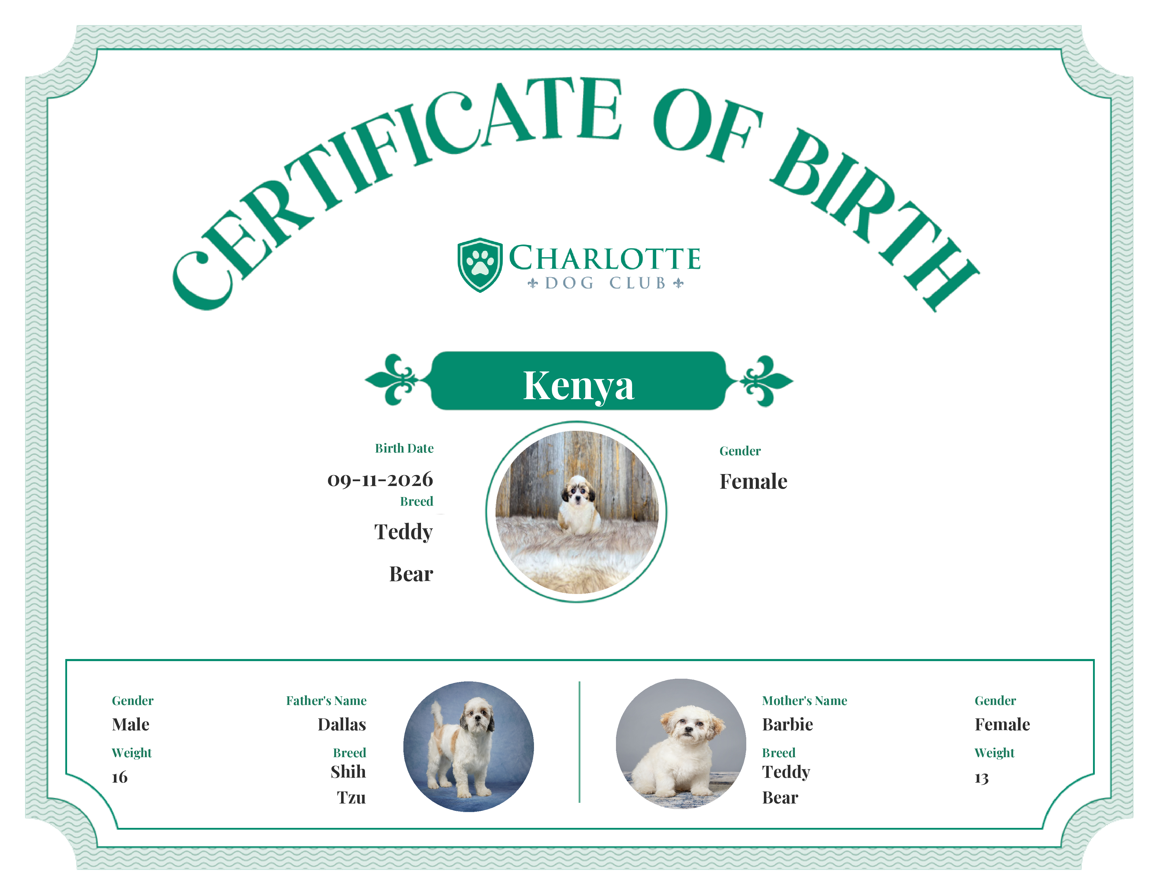 Kenya's Birth Certificate