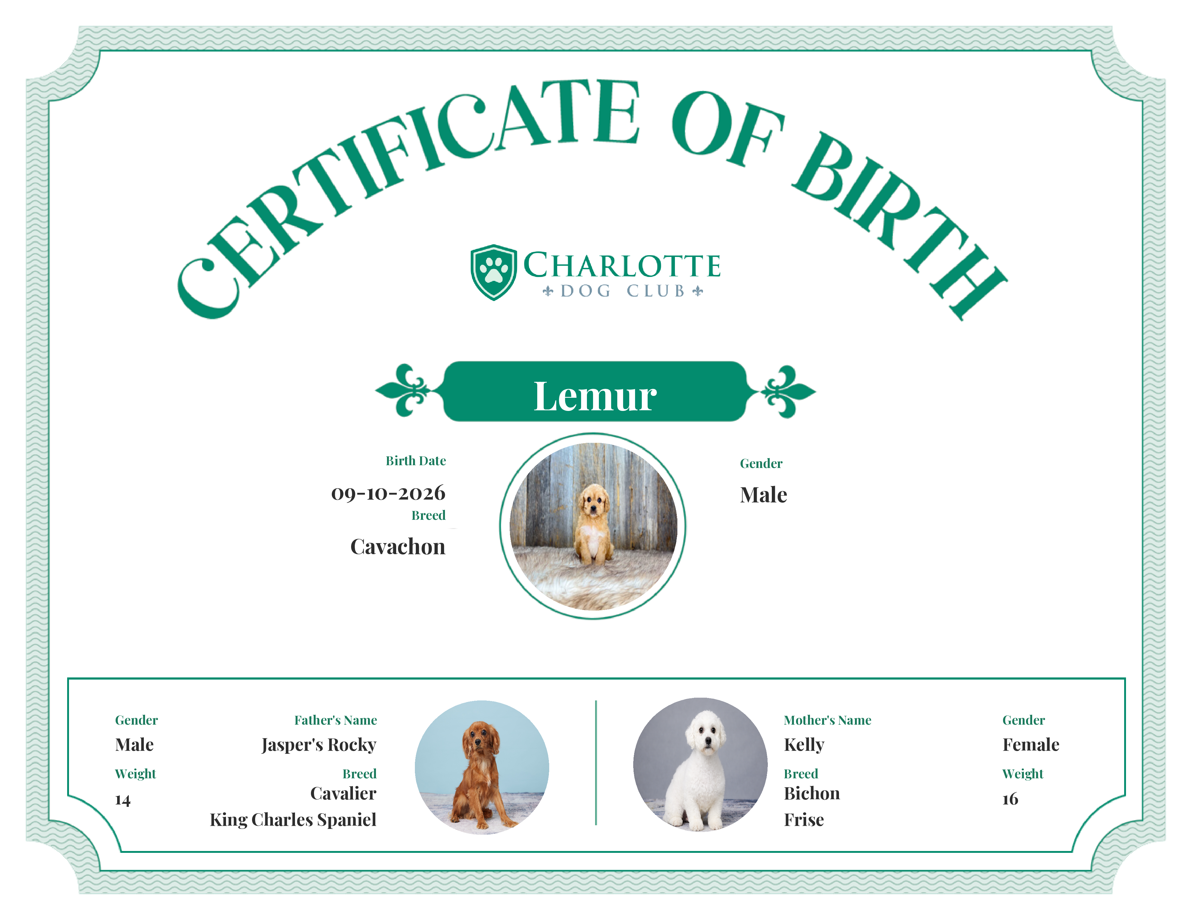 Lemur's Birth Certificate