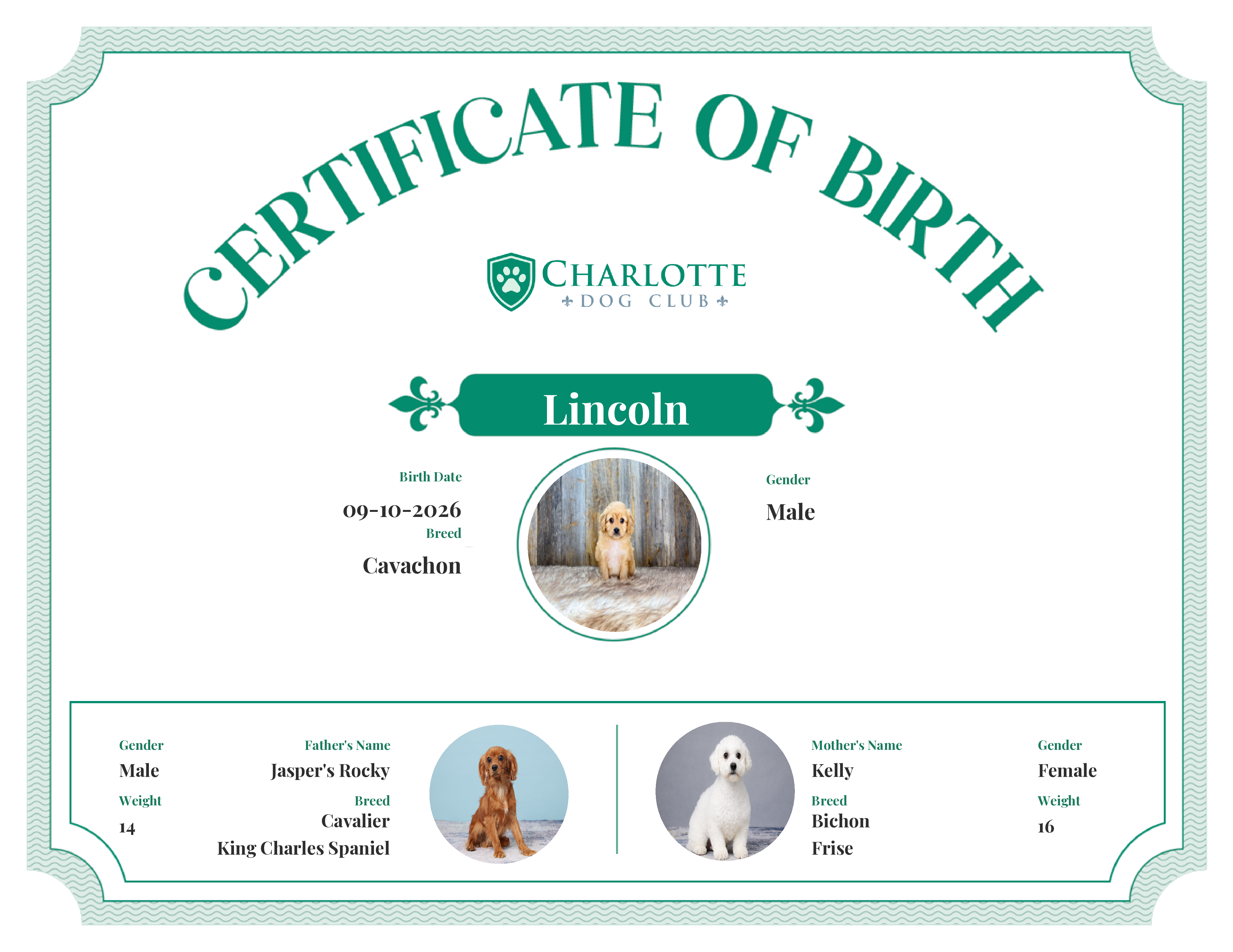 Lincoln's Birth Certificate