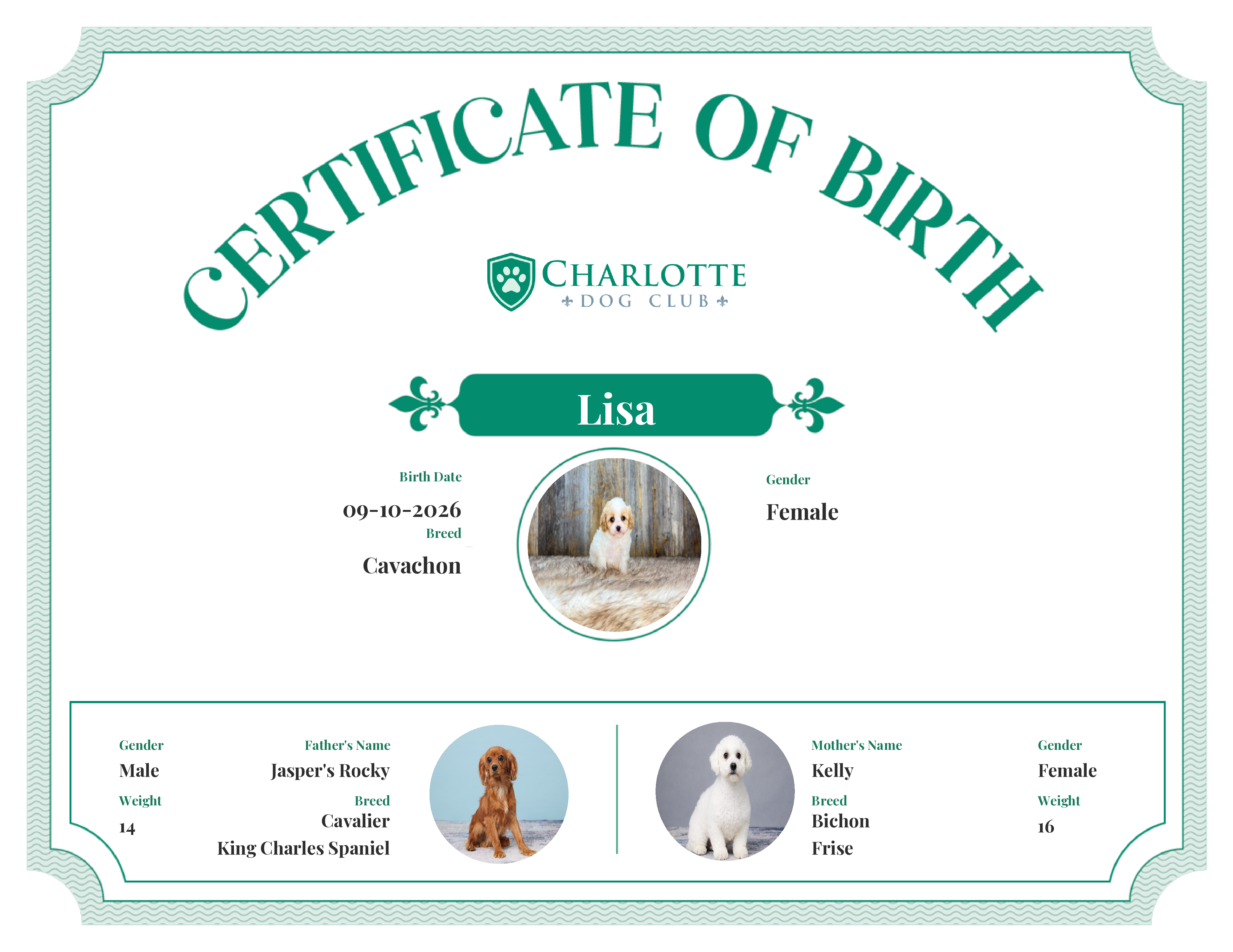 Lisa's Birth Certificate