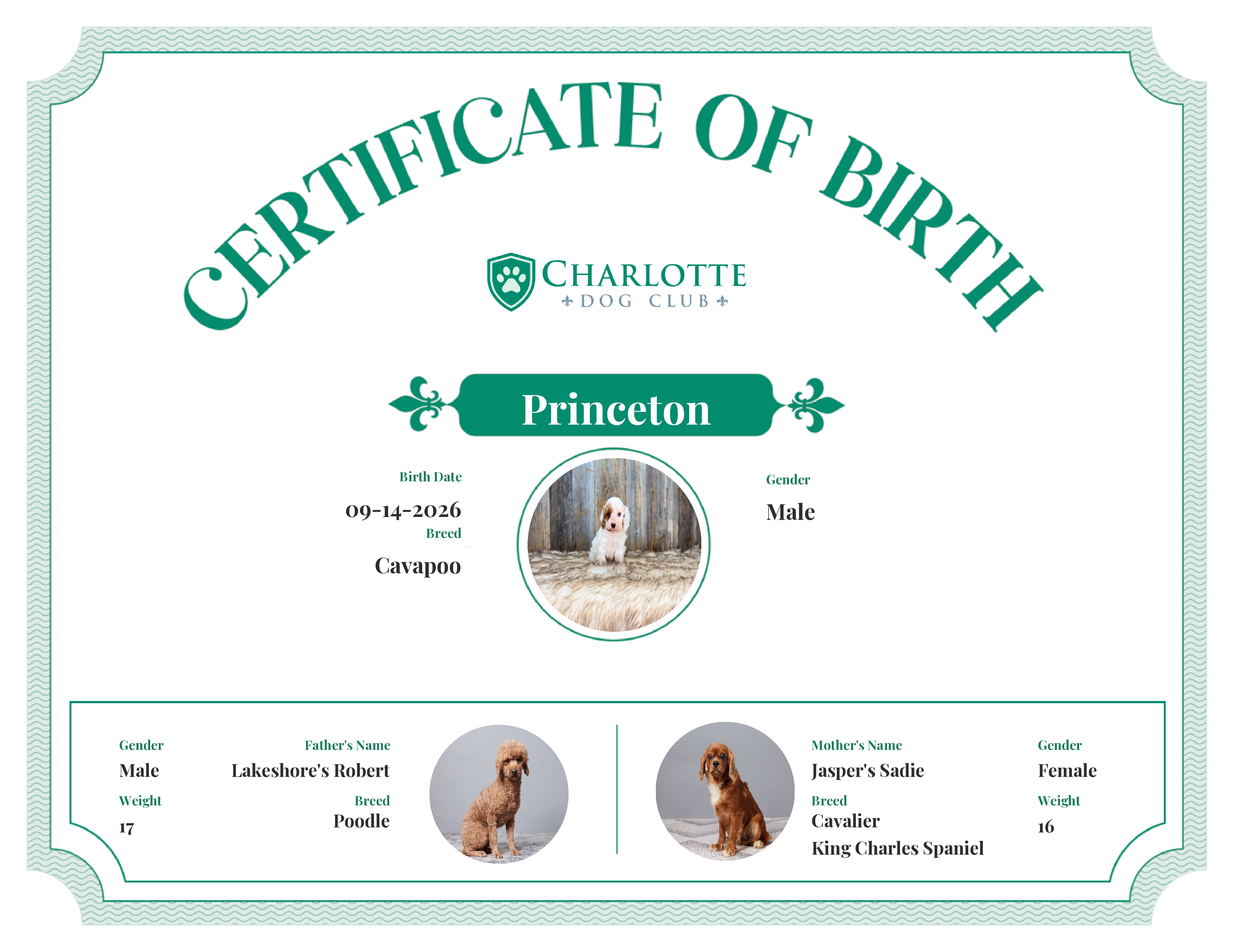 Princeton's Birth Certificate