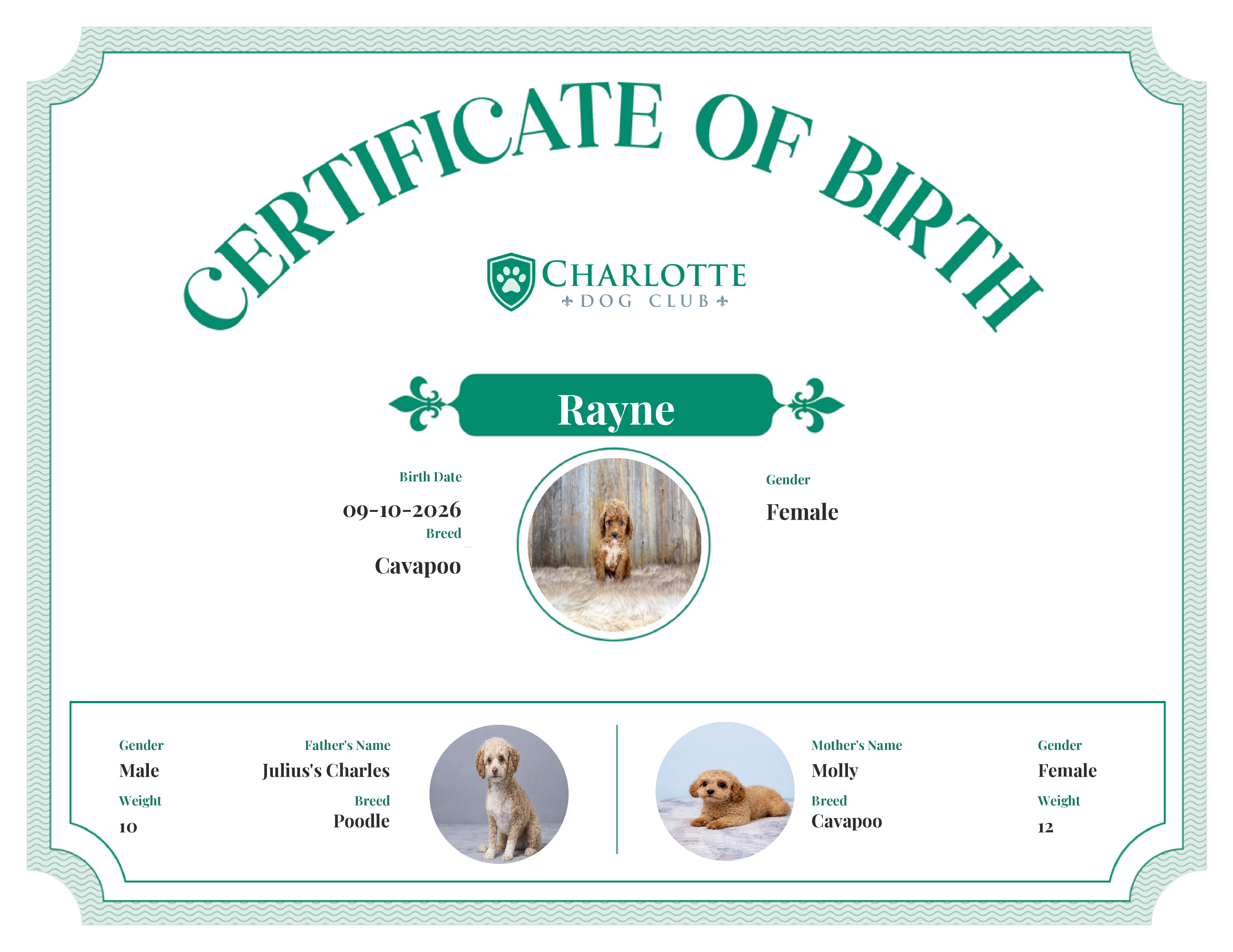Rayne's Birth Certificate