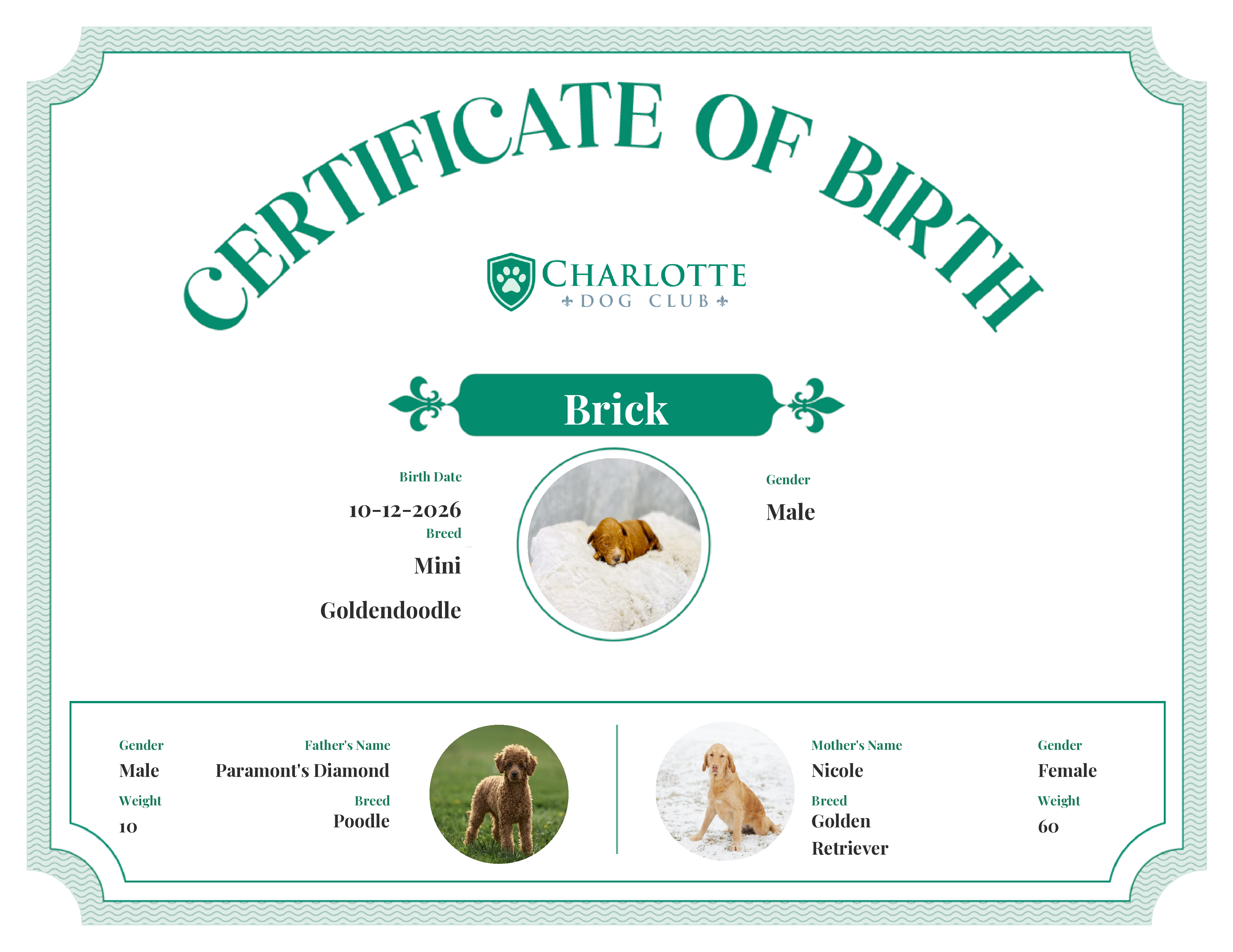 Brick's Birth Certificate