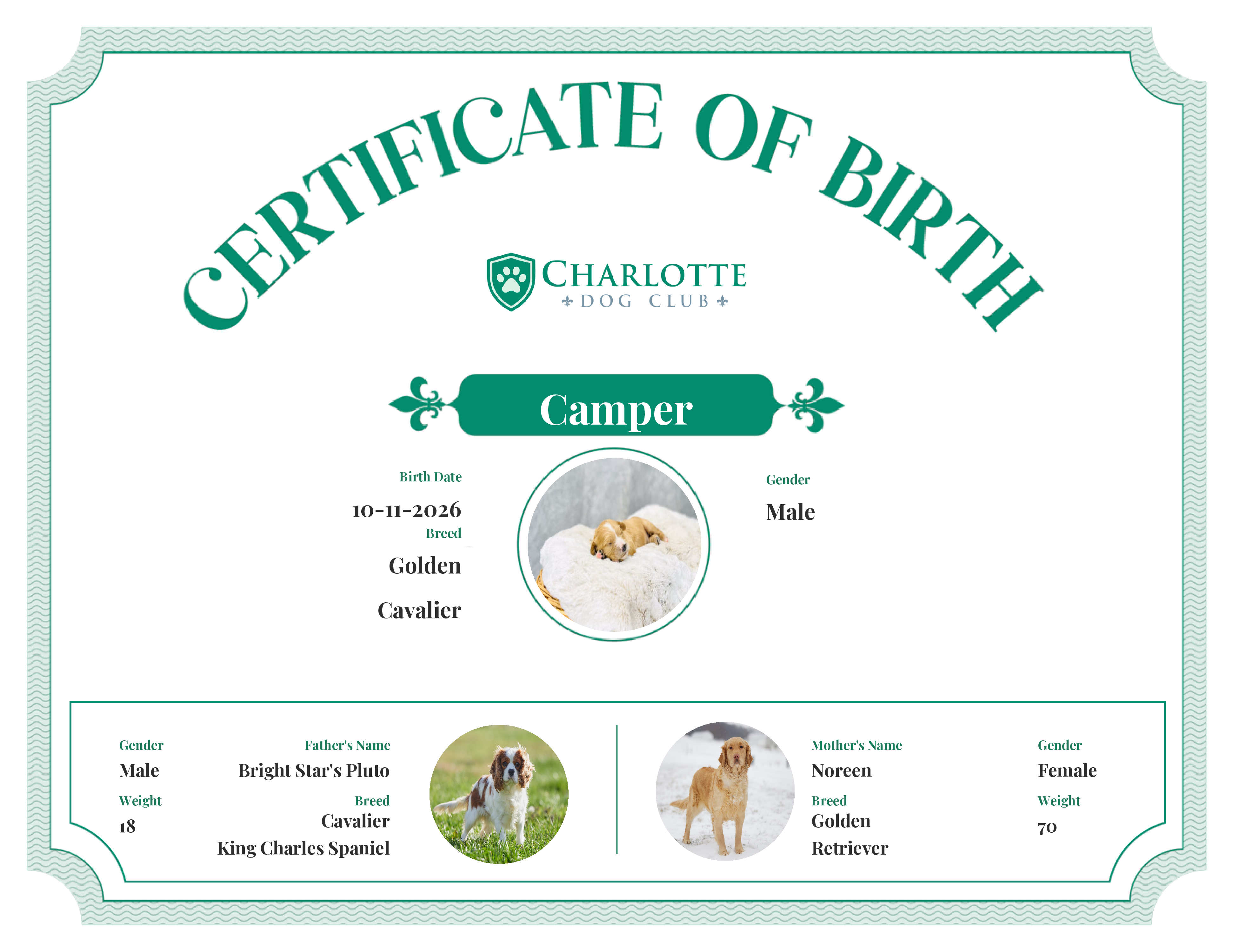 Camper's Birth Certificate
