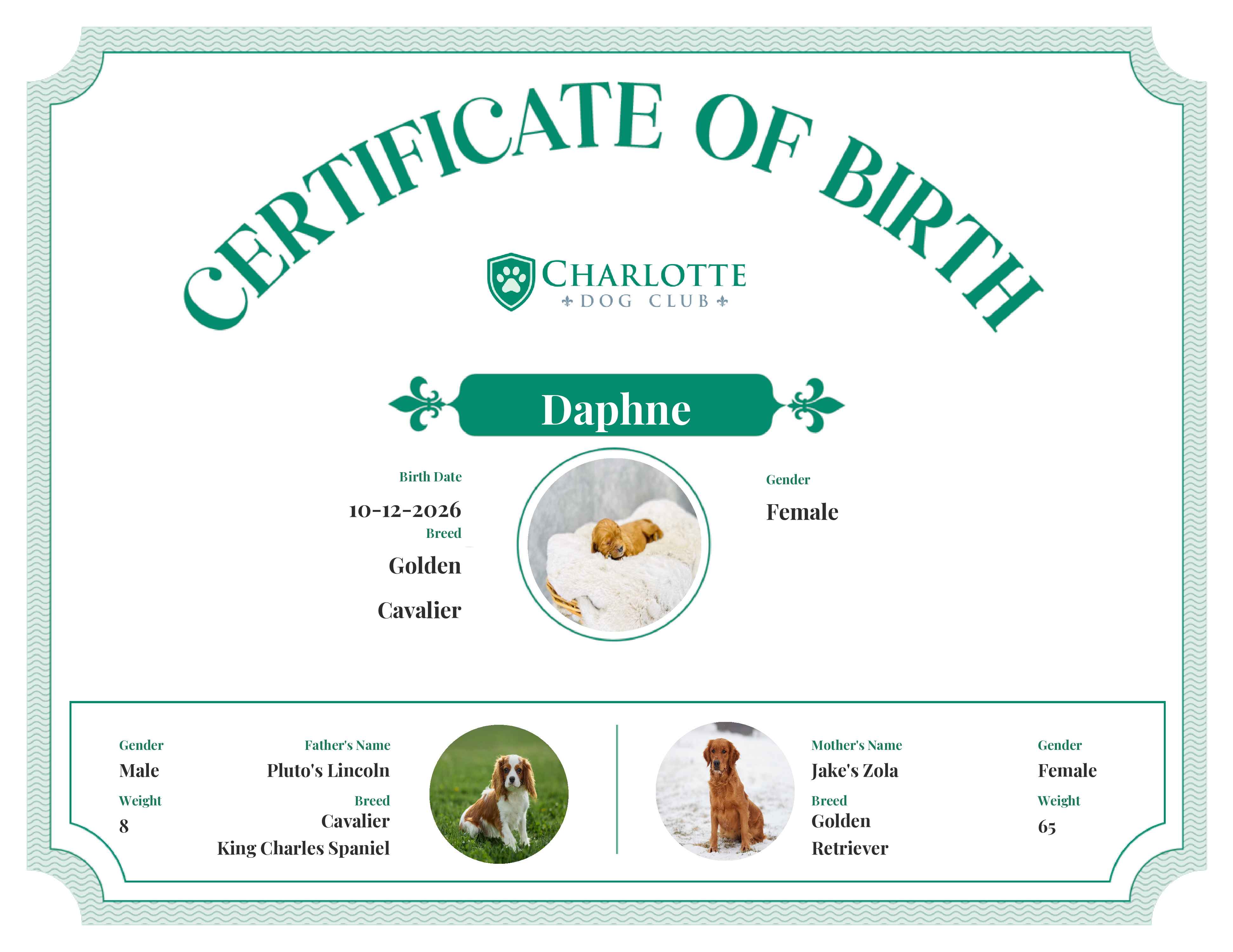 Daphne's Birth Certificate