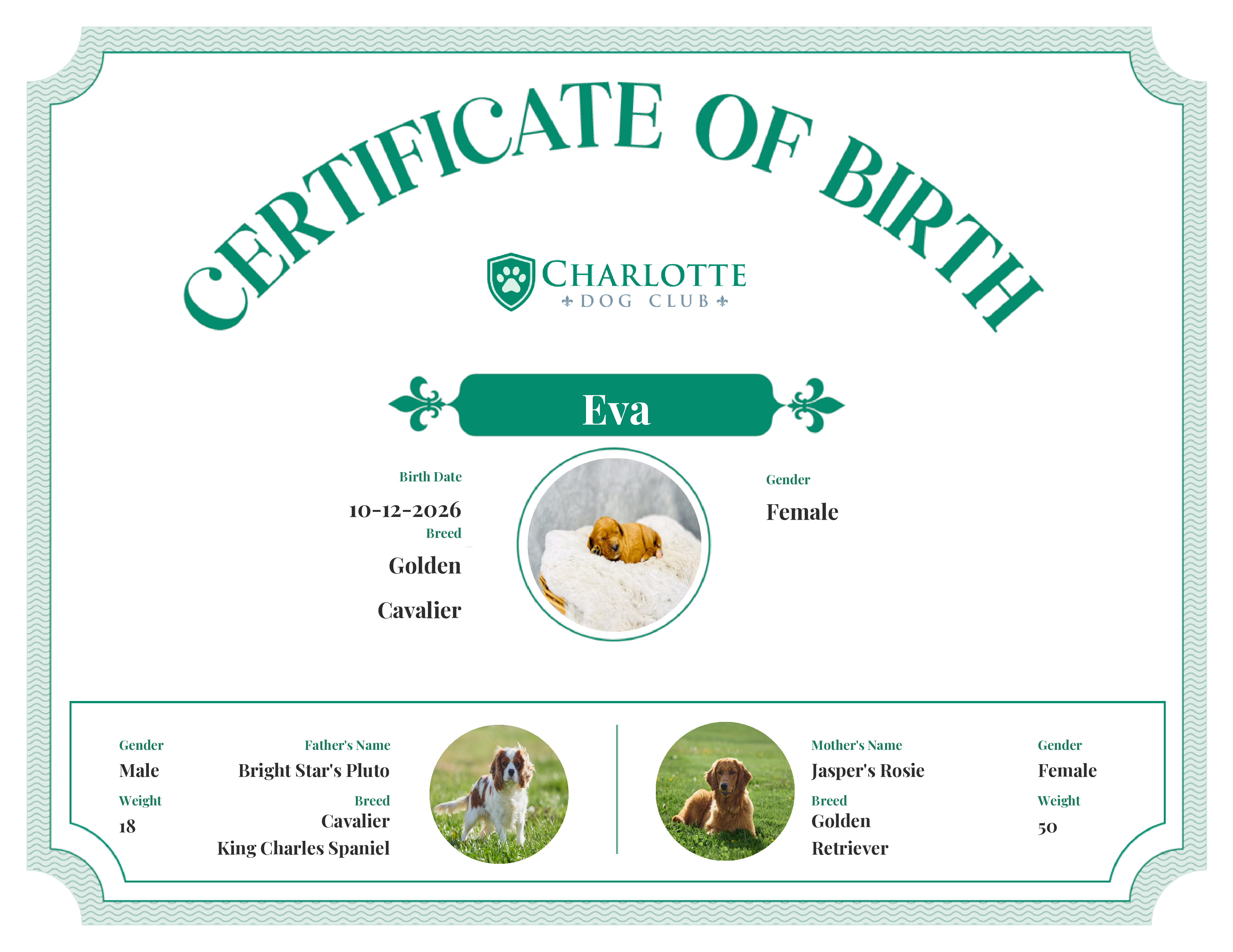 Eva's Birth Certificate