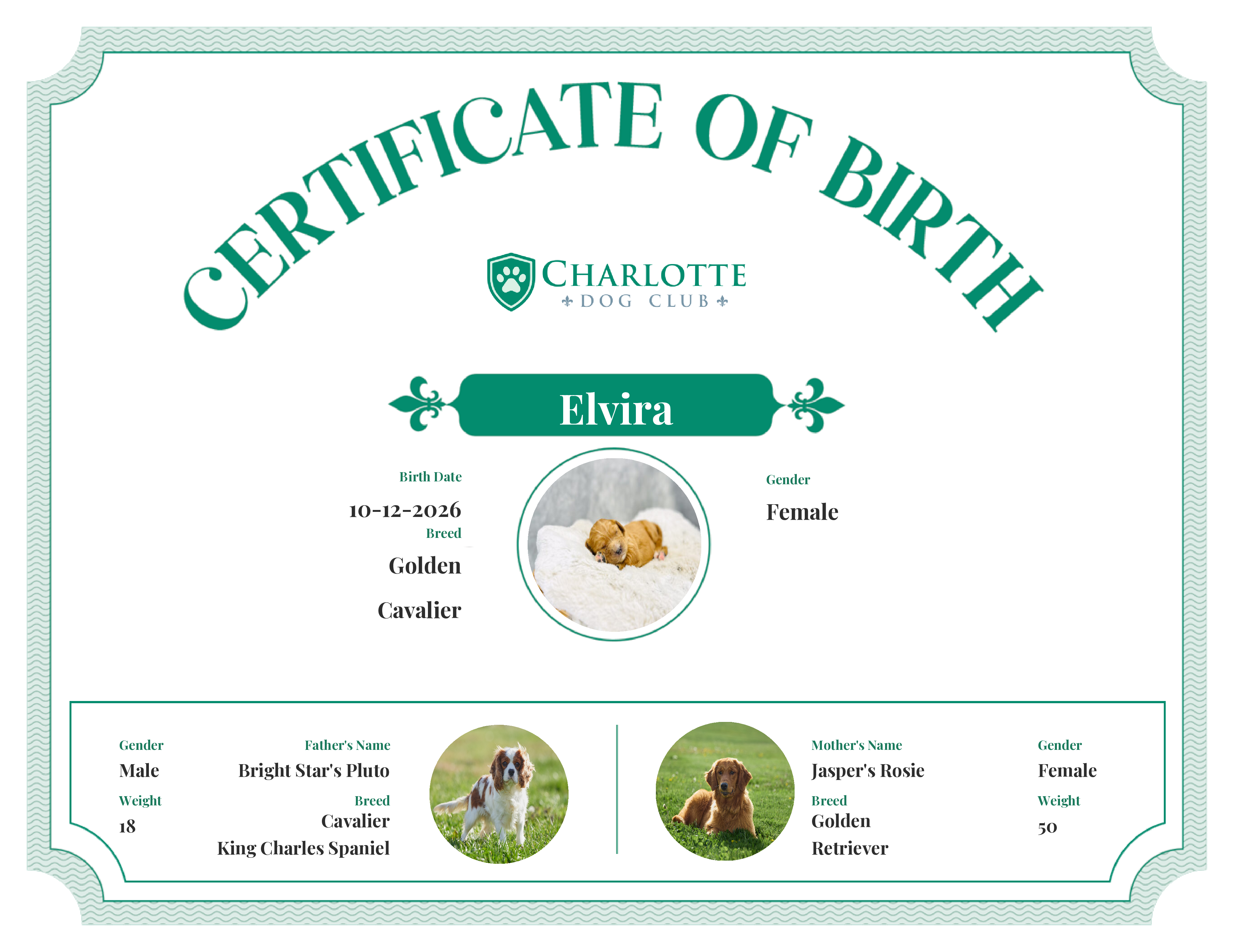 Elvira's Birth Certificate